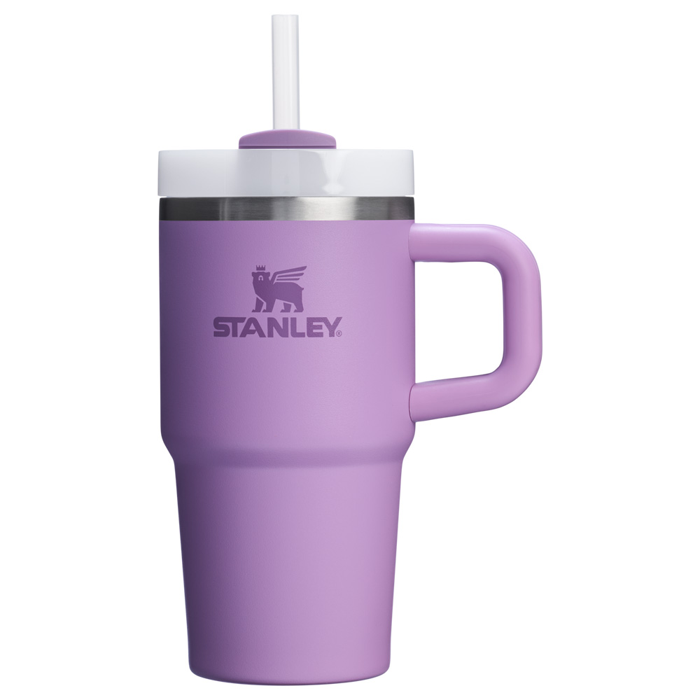 Stanley The Quencher H2.O FlowState™ Tumbler with Handle | 20 OZ Fialové | 60-92871-436